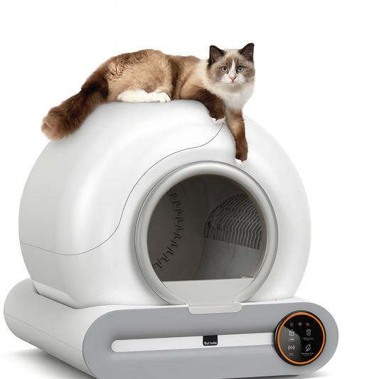 Litière automatique pour chat